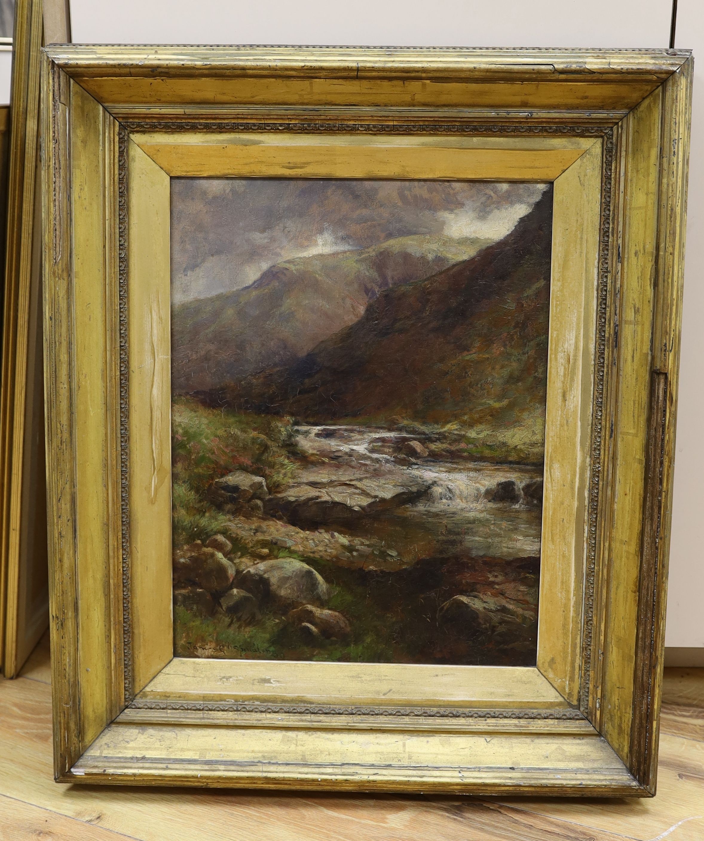 James G.H. Spindler (1862-1916), oil on canvas, Mountain stream, signed, 42 x 32cm